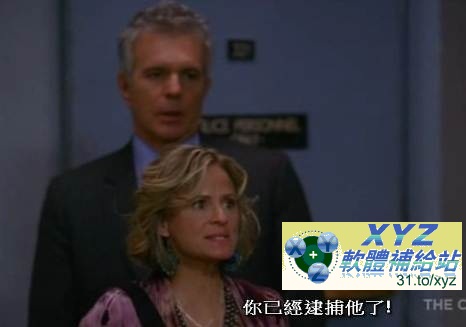 結案高手 The Closer 第四季(全) 01-15集 英語發音 繁體中文語言字幕版(美國連續劇)(適用任何家用DVD播放機超清晰畫面超長超值享受)(DVD9版)